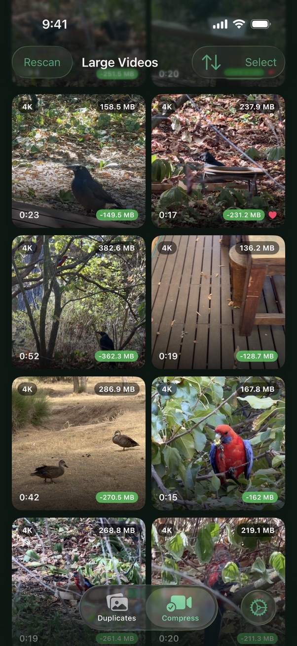 Dupie Videos tab showing large videos sorted by file size