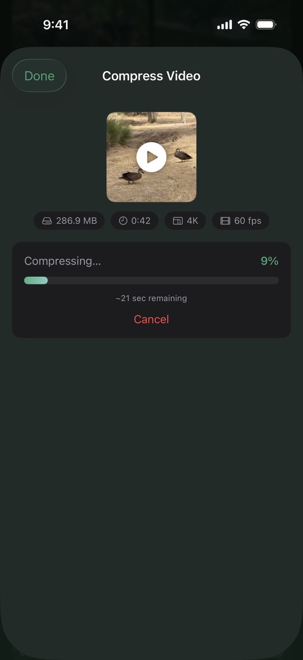 Dupie compressing a video with progress bar showing time remaining